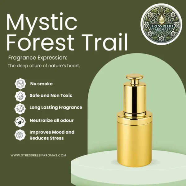 Mystic Forest Trail - Image 2